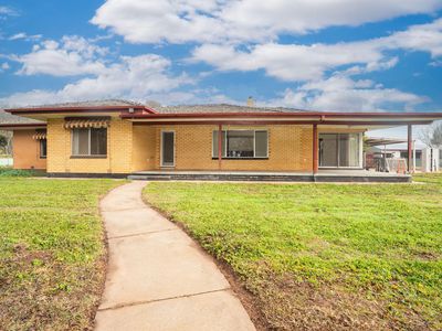 'Pastoria Park' 205 Balldale Road, Hopefield