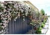 9 Juniper Place, Orange