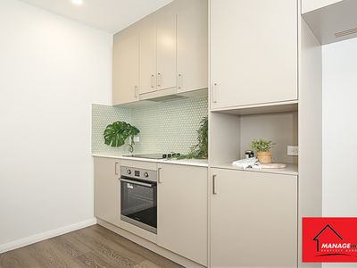 19 / 48 SPELDEWINDE STREET, Strathnairn