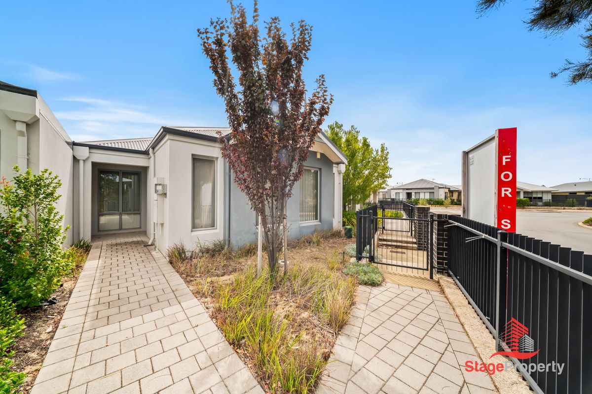 49  Wattleseed Avenue, Treeby