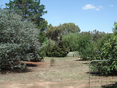 Lot 1  Reef Street , Wedderburn