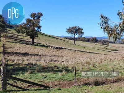 487 Old Tonga Road, Mansfield