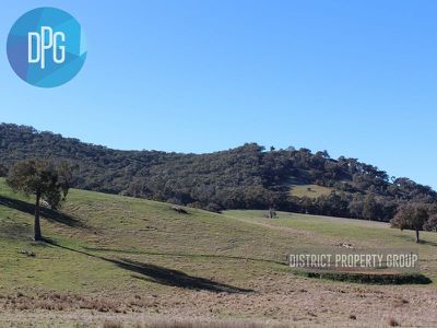 487 Old Tonga Road, Mansfield
