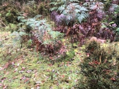 Lot 1 Mountains Road , Cherokee