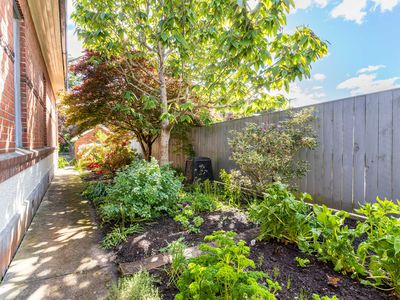 4 Willowbank, North Dunedin