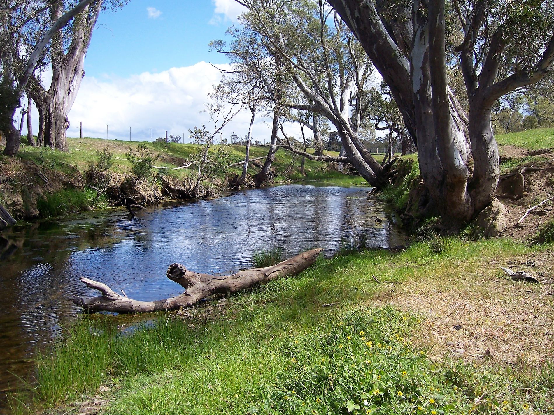 125 MAIN ROAD, Tallarook