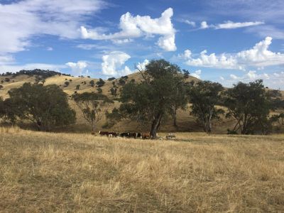 . Sandy Creek Road, Sandy Creek
