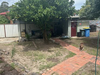 43 Martindale Crescent, Seymour