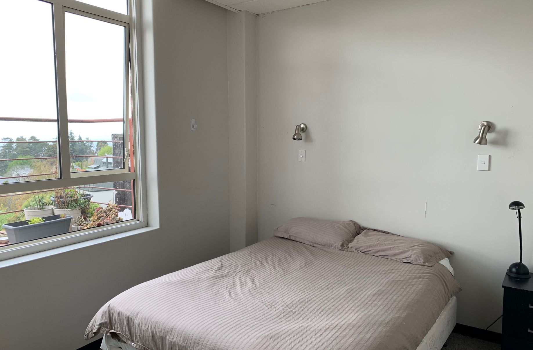 2 / 50 City Road, Roslyn