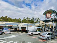 88 Shelduck Place, Calamvale