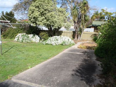 33 Main Street, Millicent