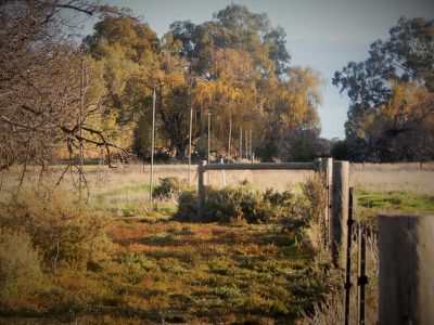 899 River Road, Murrabit West
