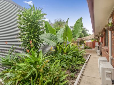 31 BULTARRA CRESCENT, Kirwan