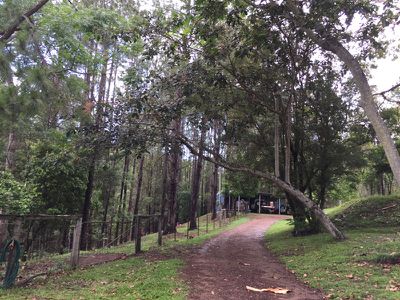 62 Old Mill Road, Carters Ridge