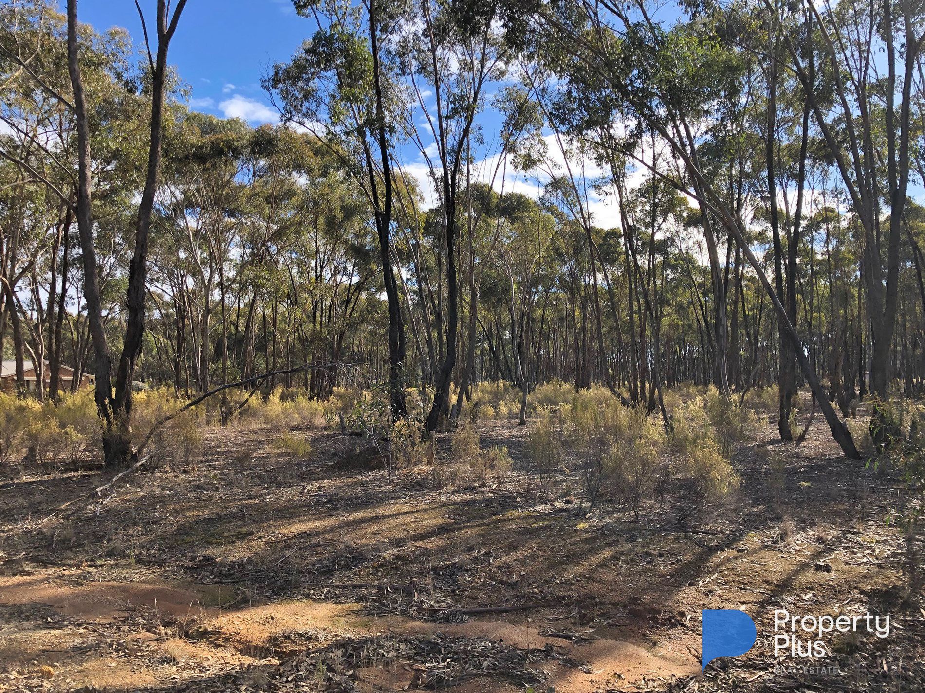 59 Palmer Road, Simson