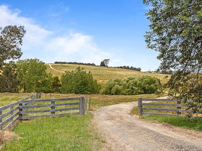 800 Mcintosh Road, Nulla Vale