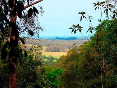 390 Woodhill Mountain Road, Berry