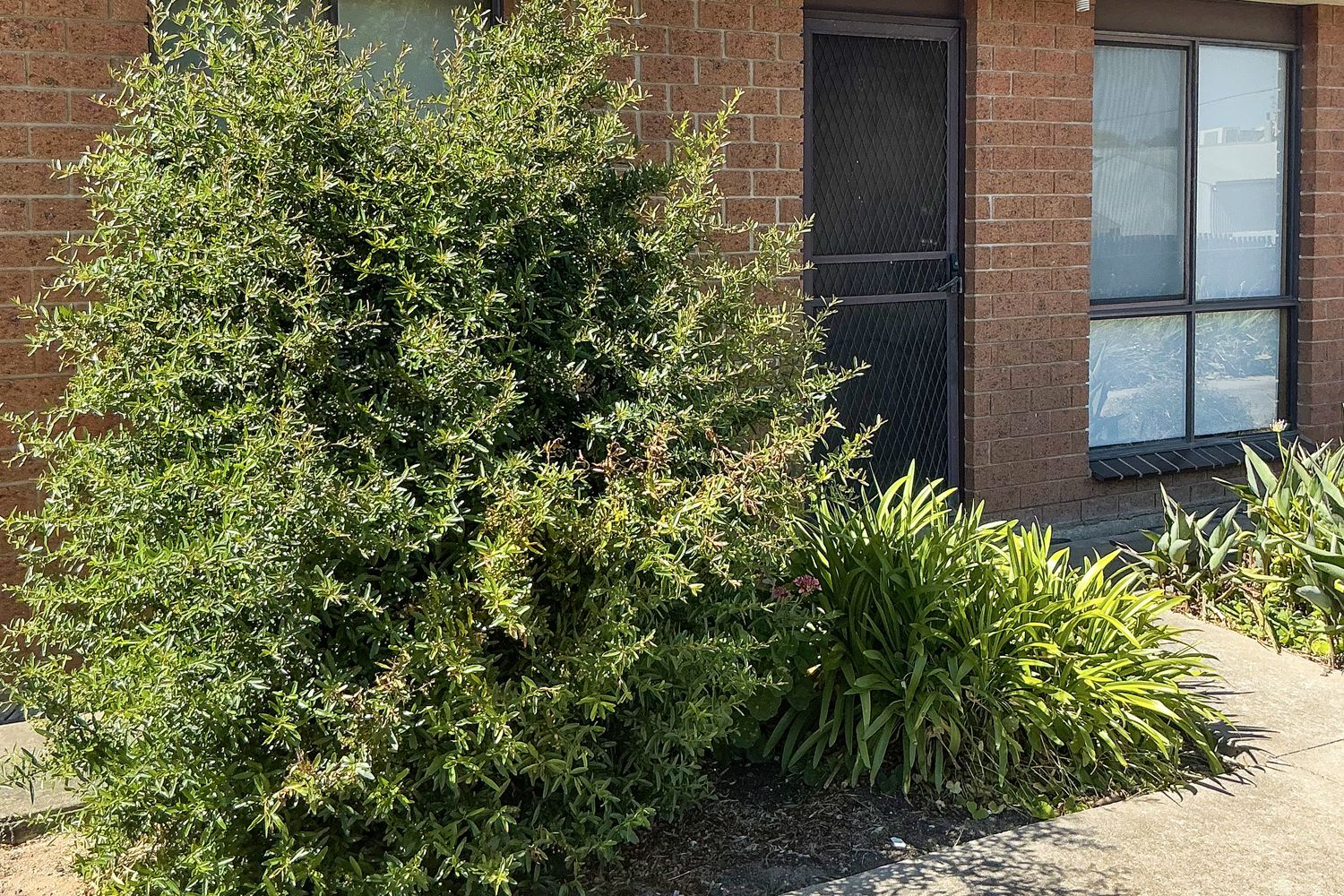 3 / 38 Wawunna Road, Horsham