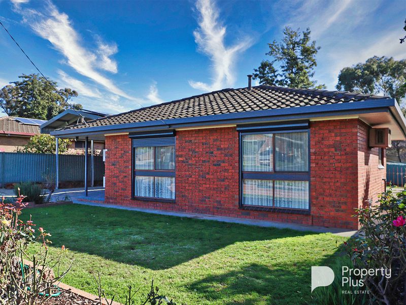 Real Estate Agent Bendigo Property Plus Real Estate
