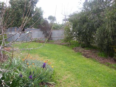 14 Berkley St, Forbes