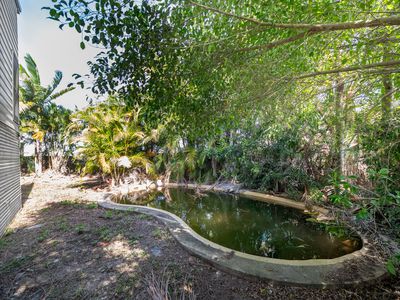 4 Cascara Street, Proserpine