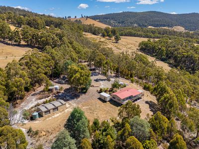Glen Huon