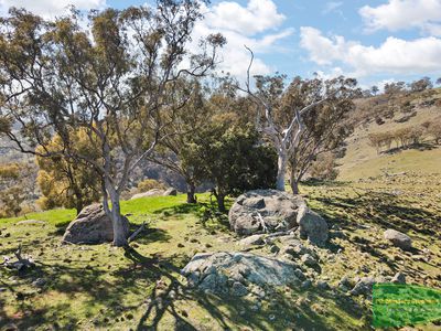 728 The Bridle Track, Duramana