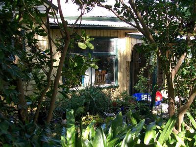 1 Jersey St, Turramurra