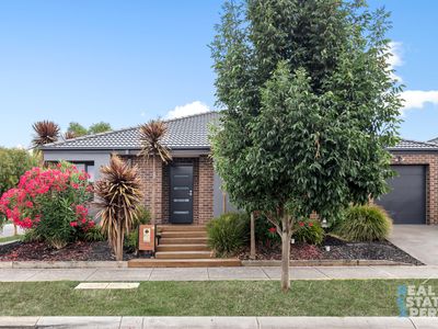 16 Optima Street, Officer