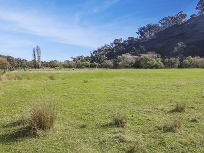 Lot 38, Sawpit Gully Road, Bridge Creek