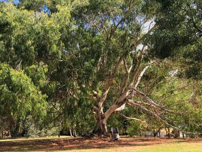 1085 Tabletop Road, Tolmie