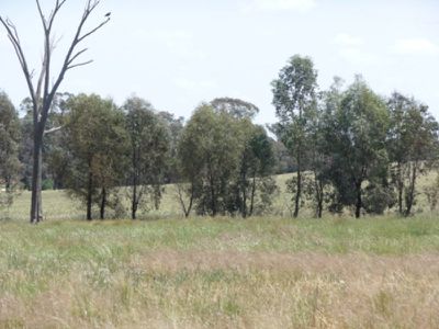 74 Old Howlong Road, Cornishtown