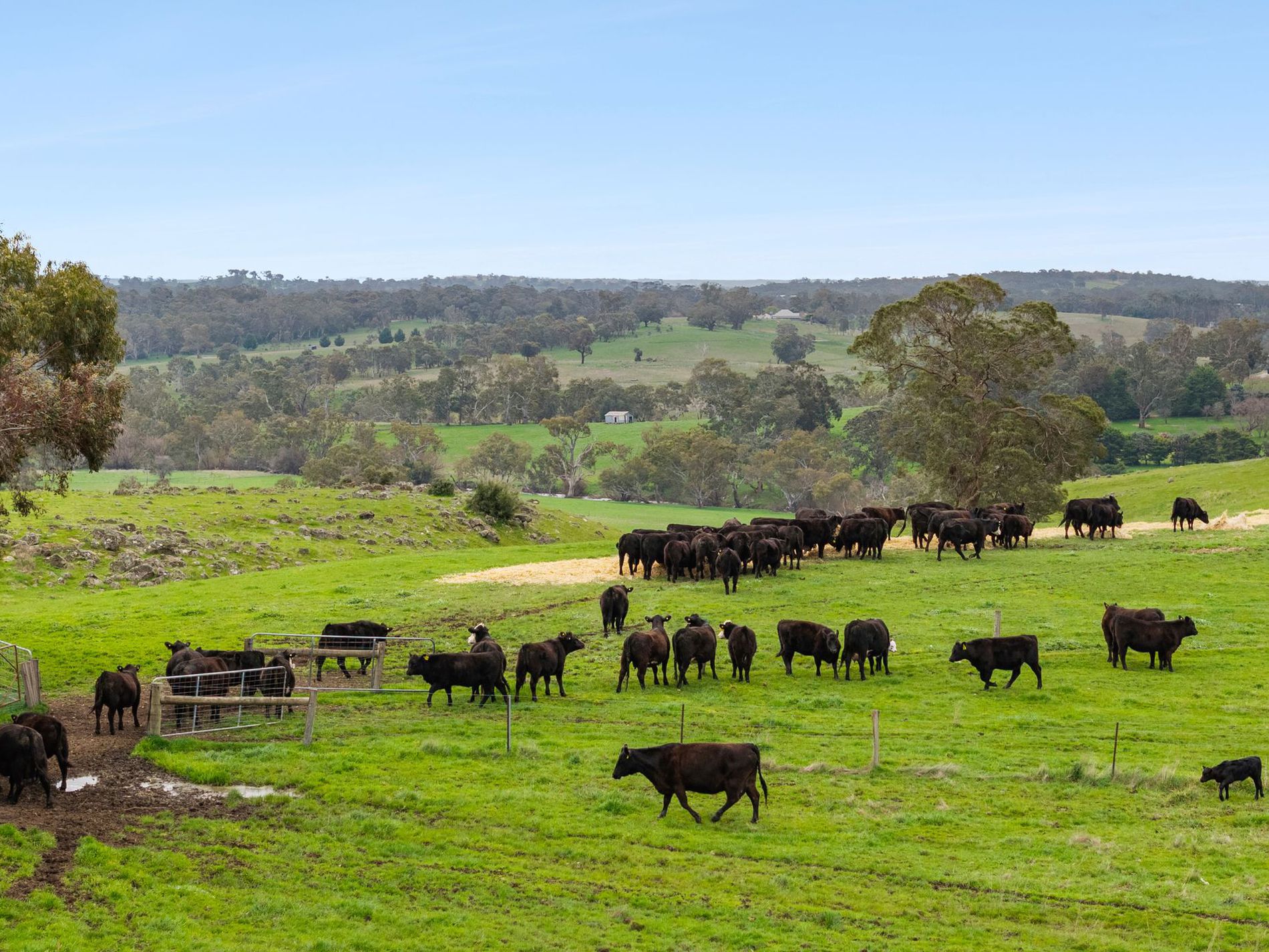 1469 Kyneton-Redesdale Road, Barfold