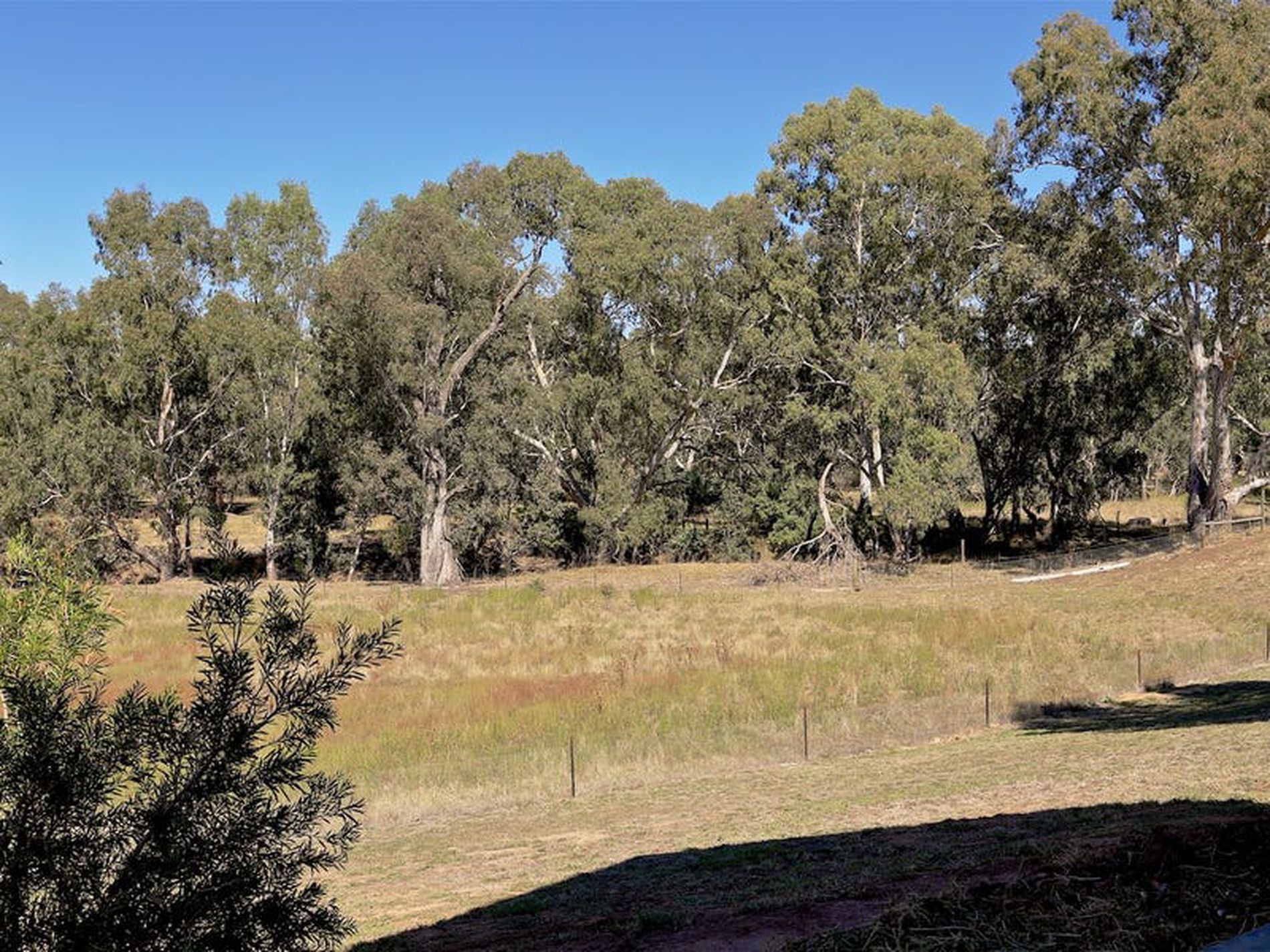 241 Ewings Rd, Avenel