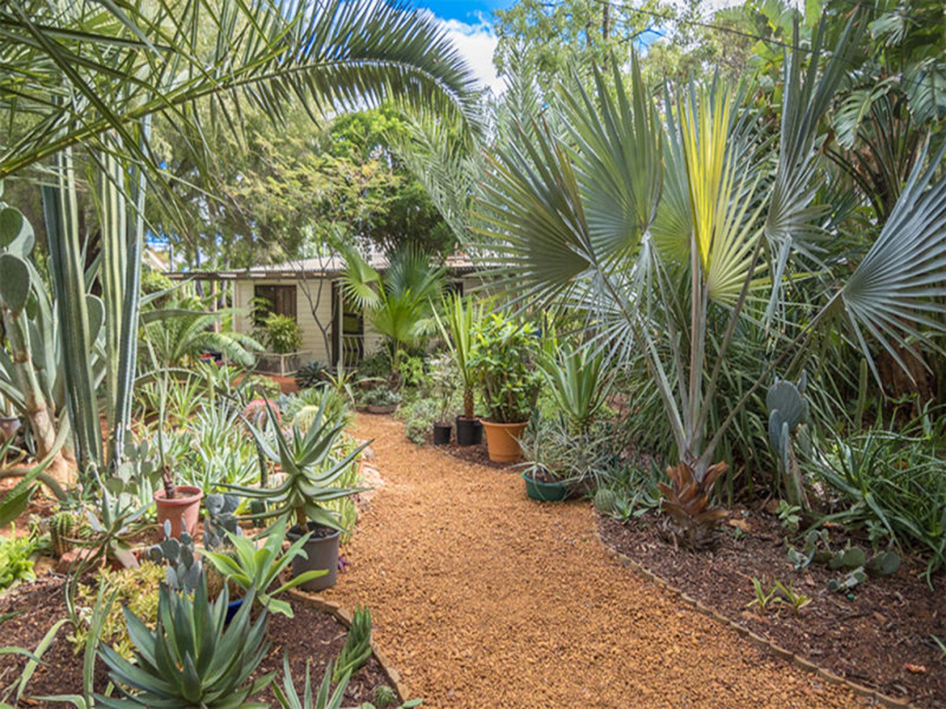 87 Lyall Street, Lamington