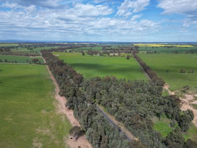 'Burnside' 1009 Howlong-Balldale Road, Balldale