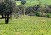 1039 Mitchell Highway, Orange