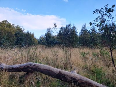 Lot 8 Paddys Lane, Franklin