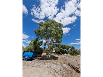 22 Barr Park Road, Cohuna