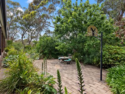 264 Ackland Hill Road, Coromandel East