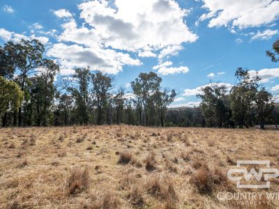 Lot 29, 41 Gilligans Lane, Torrington