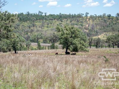 9699 Bruxner Highway, Bonshaw