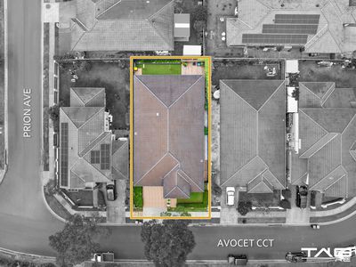 12 Avocet Circuit, Cranebrook