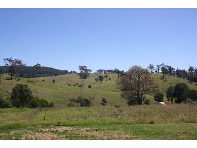 326 Bald Hills Road, Bald Hills