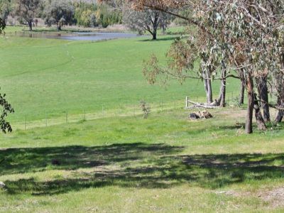 123 Mountain Bay Drive, Mountain Bay
