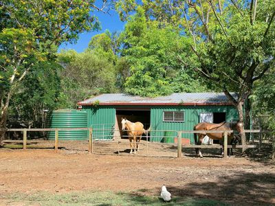 170 Torbay Road, Chandler