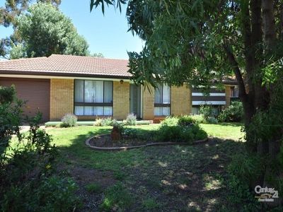 1 Springfield Way, Dubbo