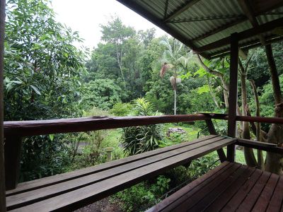 Terania Creek