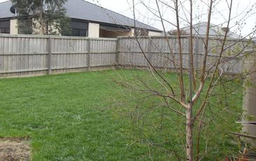 66 Wurundjeri Boulevard, Berwick