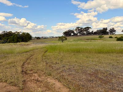 803 Snows Road, Gillimanning